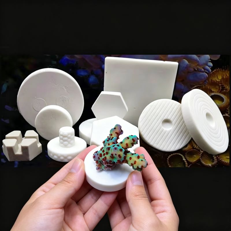 SPS Ceramic Coral Frag Plugs B - Shelly Plug recension och pris