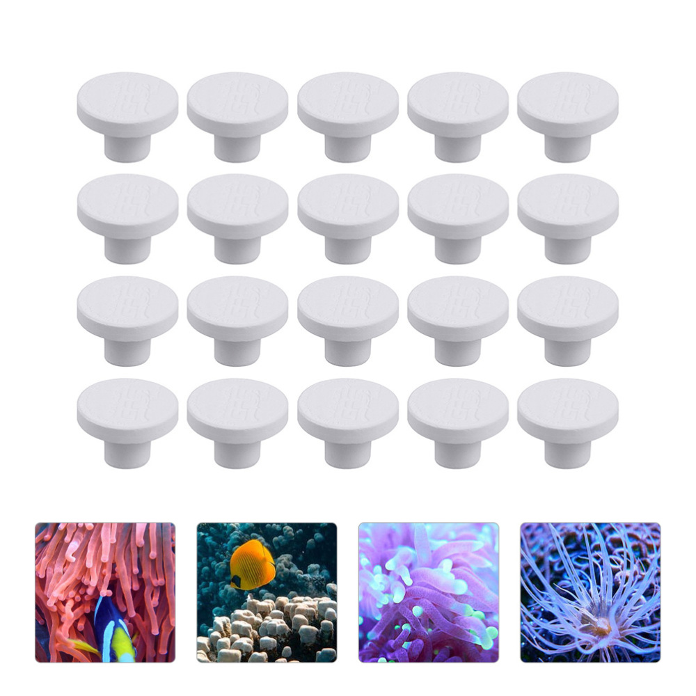 SPS Ceramic Coral Frag Plugs B - Shelly Plug recension och pris